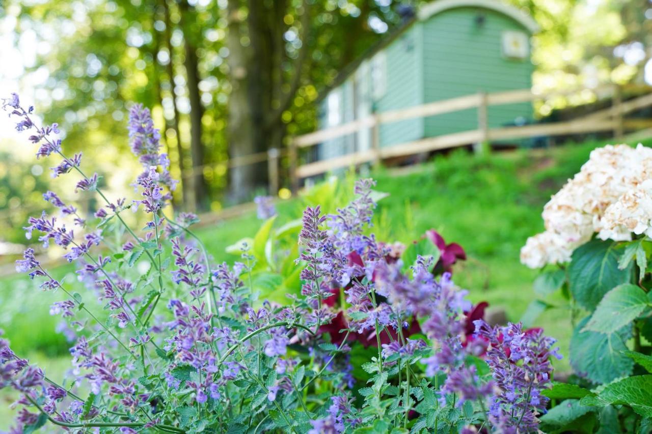 Lavender Retreat With Private Hot Tub Guest House Upper Hulme ภายนอก รูปภาพ